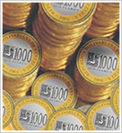 Informe de Gestión 2008-2009