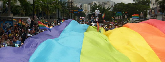 Marcha del Orgullo Gay, Venezuela 2010